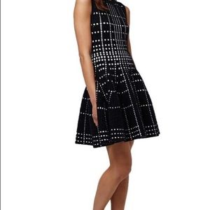 NWT Topshop Dot Jacquard Fit&Flare Knit Dress - 2